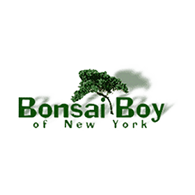 bonsai-boy-of-new-york-logo