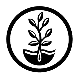 mountain-valley-seed-co-logo