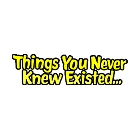thingsyouneverknew-logo