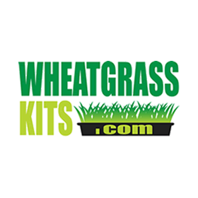 wheatgrasskits-logo
