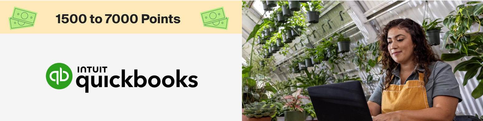 QuickBooks 1500 to 7000 Points
