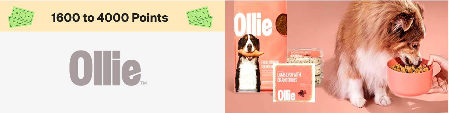 Ollie’s Pets 1600 to 4000 Points