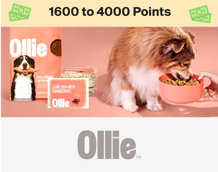Ollie’s Pets 1600 to 4000 Points