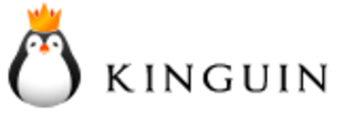 Kinguin Logo