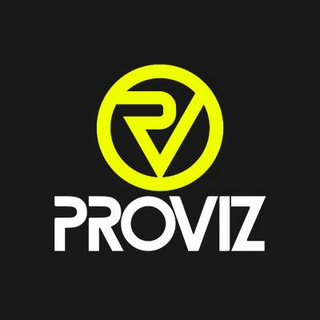 Proviz (sonstige) Logo
