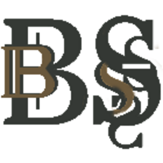BarokSpiegel (NL) Logo