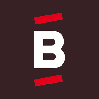 Bricomarche (FR) Logo