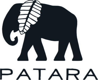 Patara Shoes (US) Logo
