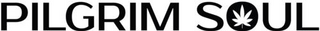 Pilgrim Soul (US) Logo