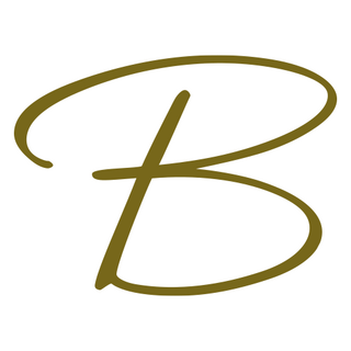 Belvini Logo