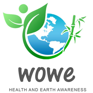 Wowe Lifestyle (US) Logo