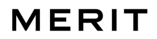 MERIT (US) Logo