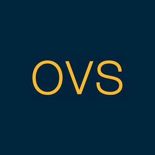 OVS (IT) Logo