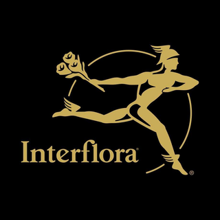 Interflora France (FR) Logo