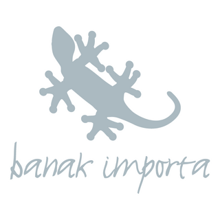 Banak Importa (ES) Logo