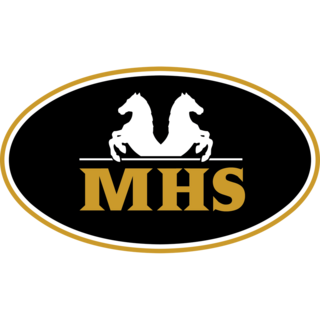 Mini Horse Shop Netherlands (NL) Logo
