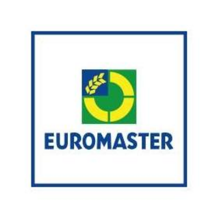 Euromaster (sonstige) Logo