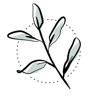 Green Bubble (NL) Logo