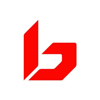 Bolle US (US) Logo