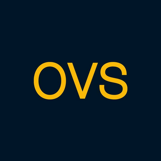 OVS Spain (ES) Logo
