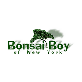 Bonsai Boy of New York (US) Logo